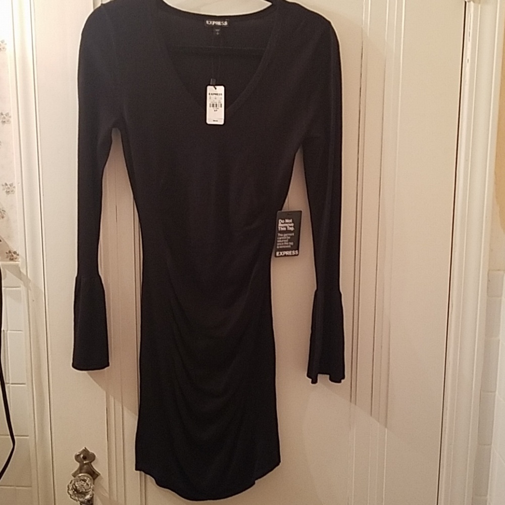 Express knit dress
